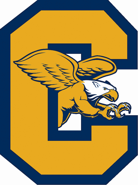 Canisius Golden Griffins 2006-Pres Alternate Logo diy iron on heat transfer